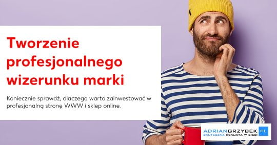 Tworzenie profesjonalnego wizerunku marki w Internecie Tworzenie profesjonalnego wizerunku marki w Internecie