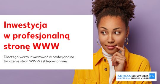 Dlaczego warto inwestować w profesjonalne tworzenie stron WWW? Dlaczego warto inwestować w profesjonalne tworzenie stron WWW?